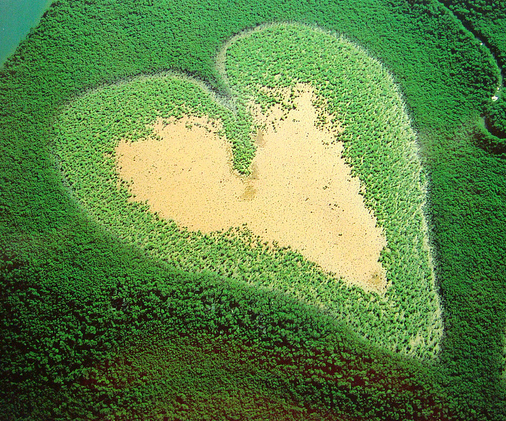 Gigantic heart carved into vegetation