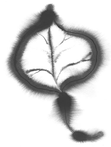 Sumi ink leaf