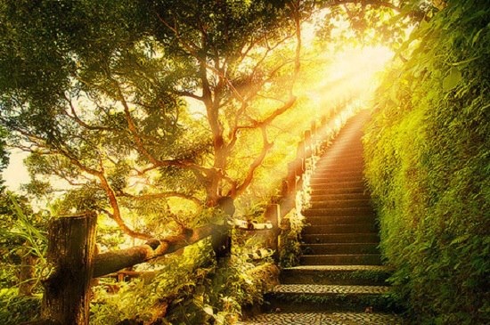 Sunlit stairs is nature